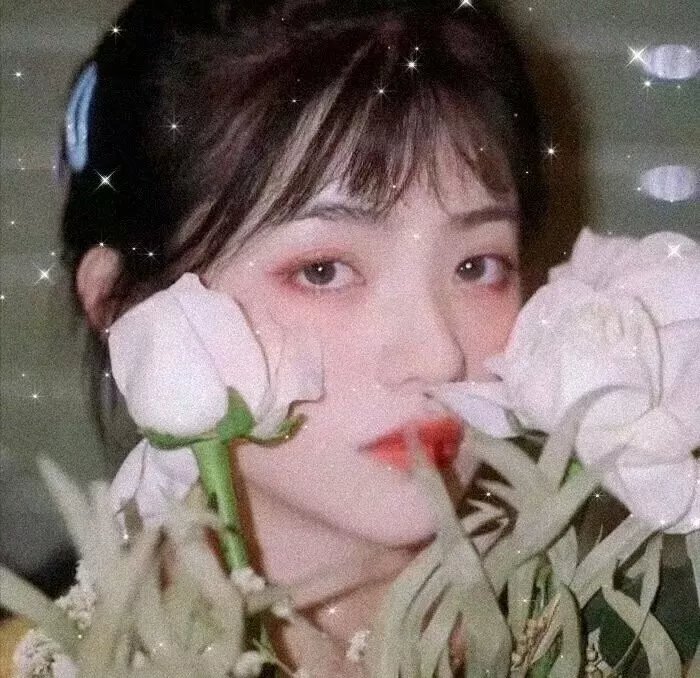 恐惧的马戏团